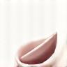 Our Handmade Soaps Logo